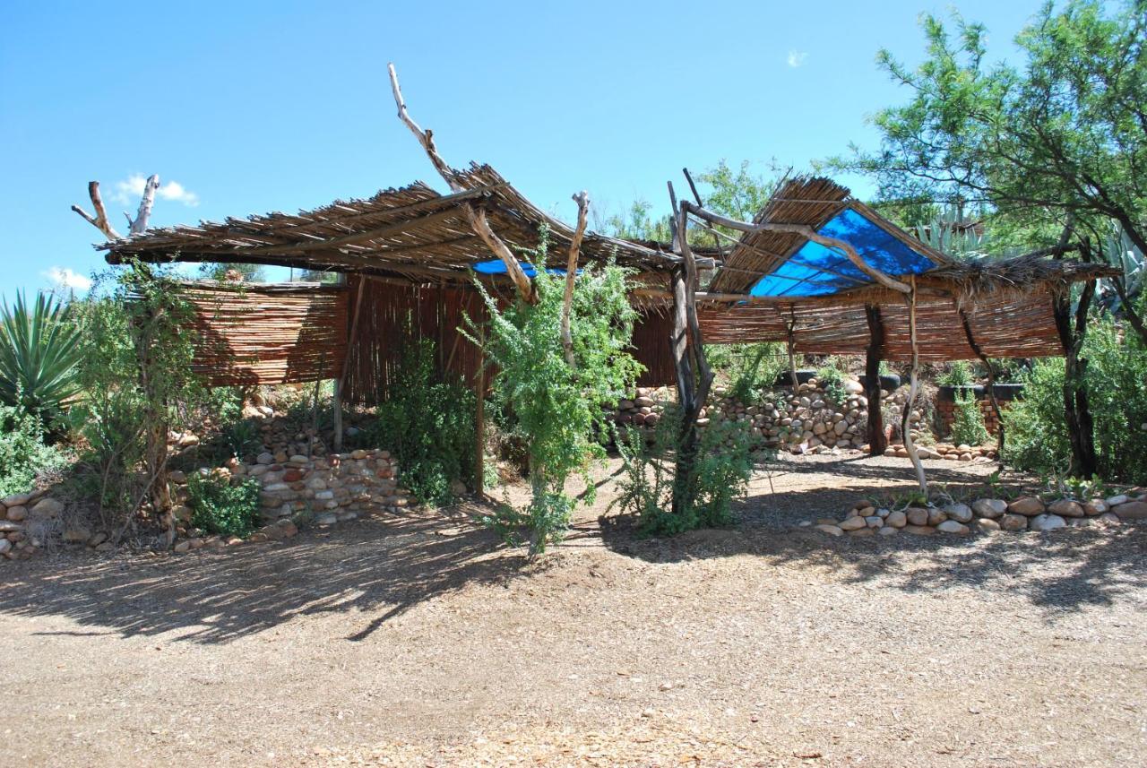 Amber Lagoon Backpackers Lodge Vleirivier Exterior foto