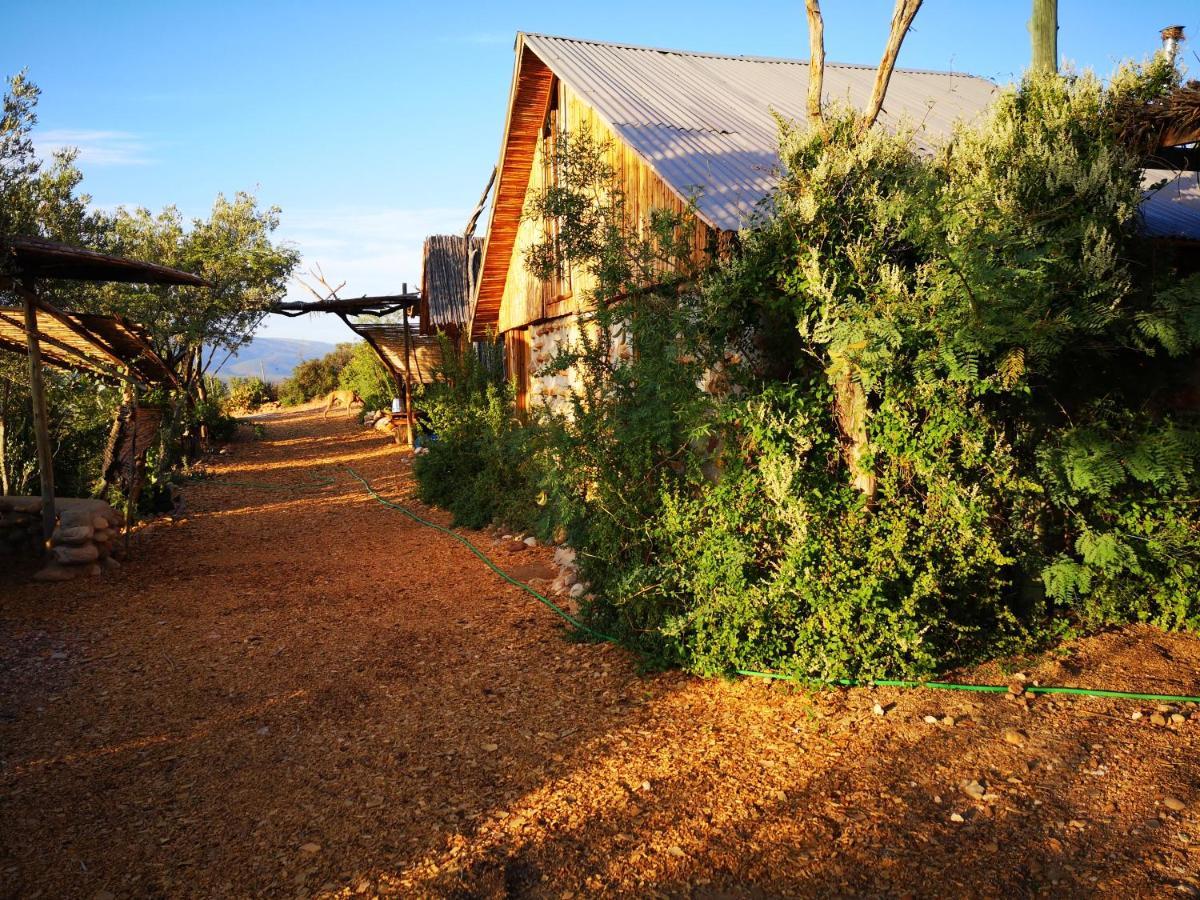 Amber Lagoon Backpackers Lodge Vleirivier Exterior foto